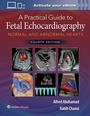 Cover: A Practical Guide to Fetal Echocardiography - WOLTERS KLUWER HEALTH