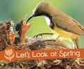 Cover: Let's Look at Spring - Raintree