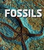 Cover: Fossils - Raintree