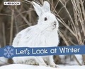Cover: Let's Look at Winter - Raintree