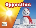Cover: Opposites - Raintree