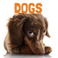 Enlarge image Cover: Dogs - Flowerpot Press