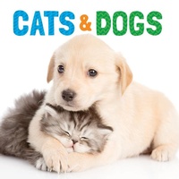 Enlarge image Cover: Cats & Dogs - Flowerpot Press