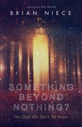 Cover: Something Beyond Nothing? - Wipf & Stock Publishers