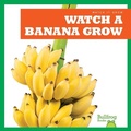 Cover: Watch a Banana Grow - Bullfrog Books