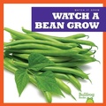 Cover: Watch a Bean Grow - Bullfrog Books
