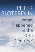 Cover: What Happened in the Twentieth Century? - Polity Press