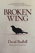 Cover: Broken Wing - Beyond Words Publishing
