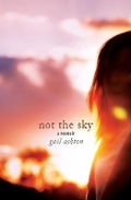 Cover: Not the Sky - A Memoir - Cinnamon Press
