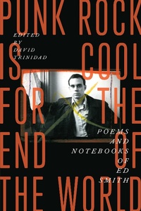 Abbildung von: Punk Rock Is Cool for the End of the World - Turtle Point Press
