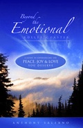 Cover: Beyond the Emotional Roller Coaster - Blue Angel Gallery
