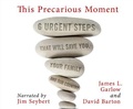 Cover: This Precarious Moment - Dreamscape Media