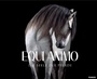 Cover: EQUI Animo - Franzis Verlag