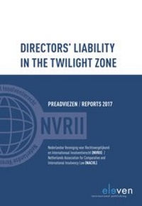 Abbildung von: Directors Liability in the Twilight Zone - Eleven International Publishing