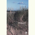 Cover: Treibsand - Edition Weinviertel / Edition Neue Wege / Regionalverlag.at