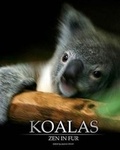 Cover: Koalas - Koala Jo Publishing