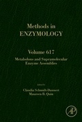 Cover: Metabolons and Supramolecular Enzyme Assemblies: Volume 617 - Academic Press