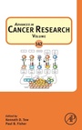 Cover: Advances in Cancer Research: Volume 142 - Academic Press