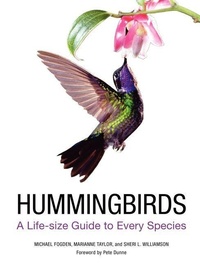 Enlarge image Cover: Hummingbirds - Collins