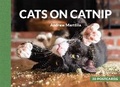 Cover: Cats on Catnip: 20 Postcards - Running Press Adult