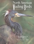 Cover: North American Wading Birds - Voyageur Press (MN)