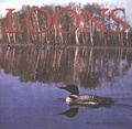 Cover: Loons - Voyageur Press (MN)