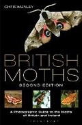 Cover: British Moths: Second Edition - Bloomsbury Wildlife