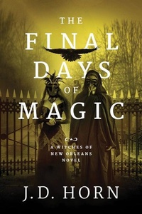 Enlarge image Cover: The Final Days of Magic - 47North