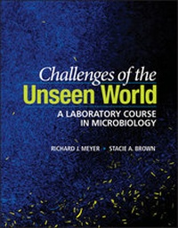 Enlarge image Cover: Challenges of the Unseen World - Wiley