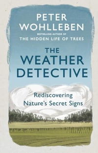 Abbildung von: The Weather Detective - Rider & Co