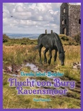 Cover: Flucht von Burg Ravensmoor - Saga Egmont