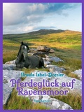 Cover: Pferdegl&uuml;ck auf Ravensmoor - Saga Egmont