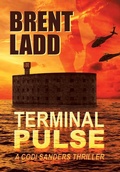 Cover: Terminal Pulse - Archway Publishing