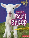 Cover: Meet a Baby Sheep - Lerner Publications Co ,U.S.
