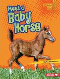 Cover: Meet a Baby Horse - Lerner Publications Co ,U.S.