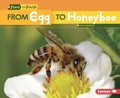 Cover: From Egg to Honeybee - Lerner Publications Co ,U.S.