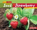 Cover: From Seed to Strawberry - Lerner Publications Co ,U.S.