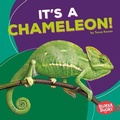 Cover: It's a Chameleon! - Lerner Publications Co ,U.S.