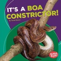 Cover: It's a Boa Constrictor! - Lerner Publications Co ,U.S.
