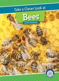 Cover: Take a Closer Look at Bees - Red Chair Press