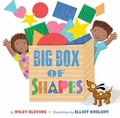Cover: Big Box of Shapes - Rocking Chair Kids