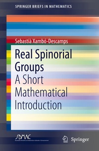 Abbildung von: Real Spinorial Groups - Springer
