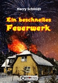 Cover: Ein beschneites Feuerwerk - EDITION digital