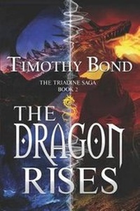 Enlarge image Cover: The Dragon Rises - Nook Press