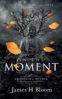 Enlarge image Cover: In the Moment - Nook Press