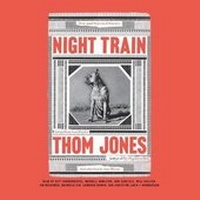 Enlarge image Cover: Night Train Lib/E - Little Brown and Company