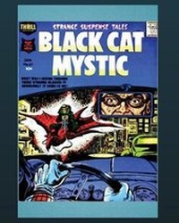 Enlarge image Cover: Black Cat - Nook Press