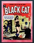 Cover: Black Cat - Nook Press