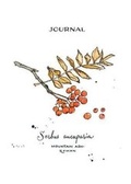 Cover: 5 x 7 inch Paperback Blank Journal Mountain Ash-Rowan Botanical Cover Art by Annie Brule - Chatwin Books