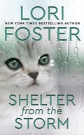 Cover: Shelter from the Storm - InterMix